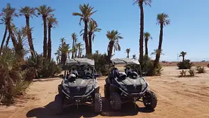 Evening Quad Bike at Palmeraie Area with Tea Tasting | From Marrakech