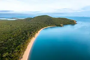 Private 1 Day Daintree Rainforest & Cape Tribulation Tour