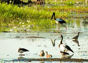 Kakadu National Park