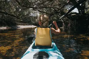 Dolphin Sanctuary Guided Eco Kayak Tour