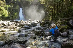 Milford Track Guided Walk & Boat Cruise | From Milford Sound