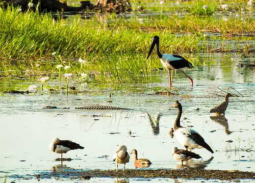 Kakadu National Park