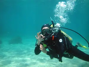 goat island reserve dive deal