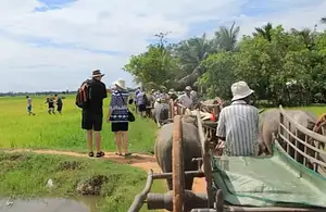 Full Day Community Village & Peace Museu | Private Tour