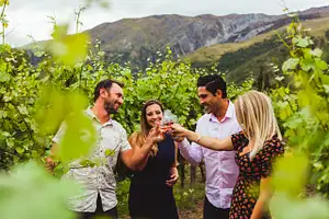 Queenstown Wine Tour
