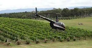 Hunter Valley Scenic Helicopter Flight Special