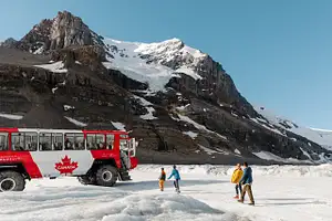 Columbia Icefield Full-day Adventure Tour | From Calgary