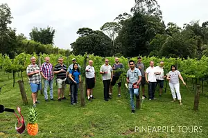 Premium Full Day Mount Tamborine Winery Tour with Lunch | Brisbane or Gold Coast Departure