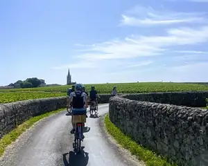 Wine and Bike Tour to Saint-Emilion | From Bordeaux